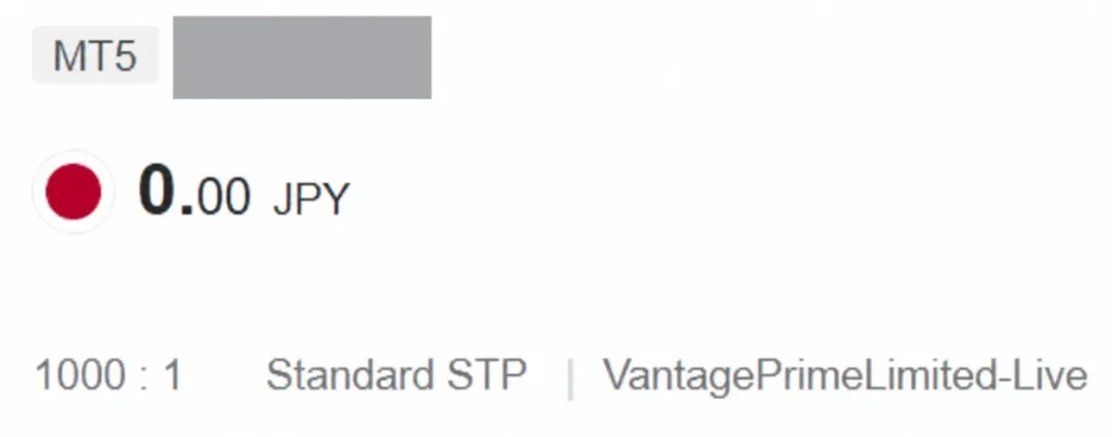 Vantageのレバレッジを確認する方法3