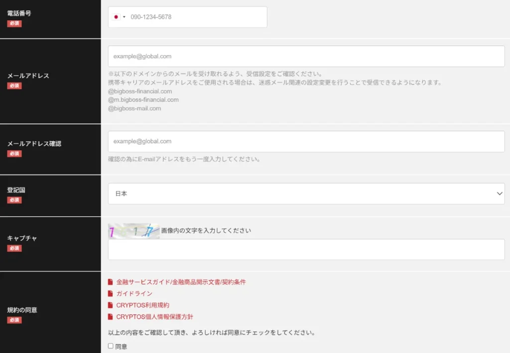 BigBossで法人口座を開設する方法3